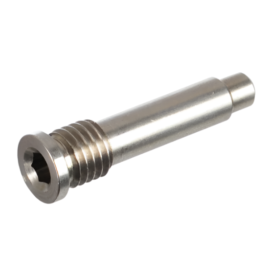 Planet Eclipse EGO9/10/11 FRM Retaining Bolt Screw