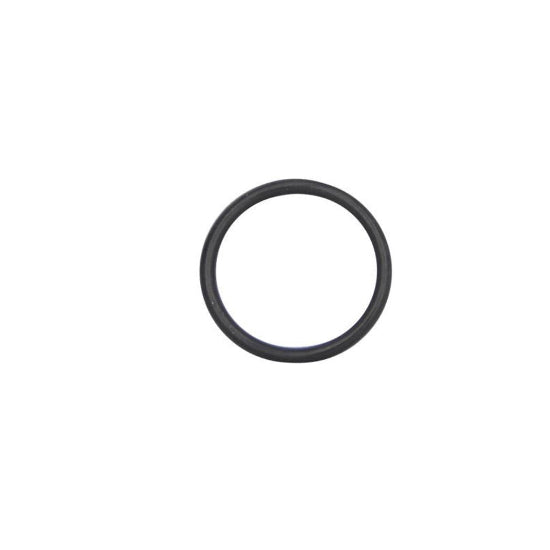Empire AXE/AXE 2.0/MINI/MINI GS Bolt Guide O-ring (Large) #17534