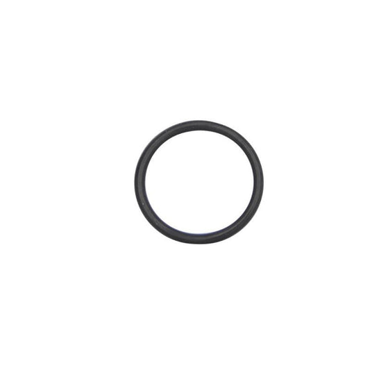 Empire AXE/AXE 2.0/MINI/MINI GS Bolt Guide O-ring (Large)